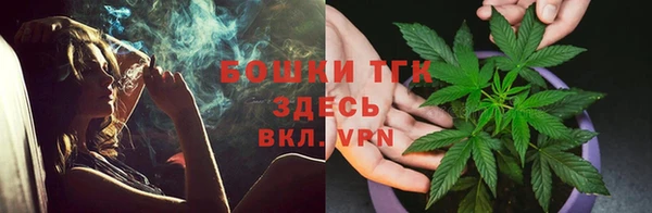тгк Аркадак