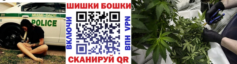 Шишки марихуана ГИДРОПОН Павловск